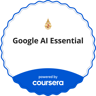 Google via Coursera credential
